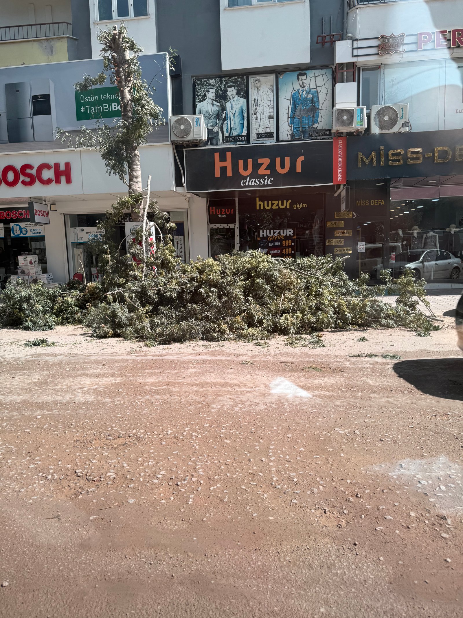 AHMET KARACABEY CADDESİ’NDE KADÜK BUDAMA: AĞAÇLAR YAPRAKSIZ BIRAKILDI
